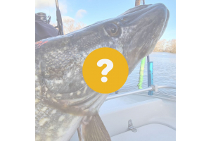 Guide för Catch & Release hantering