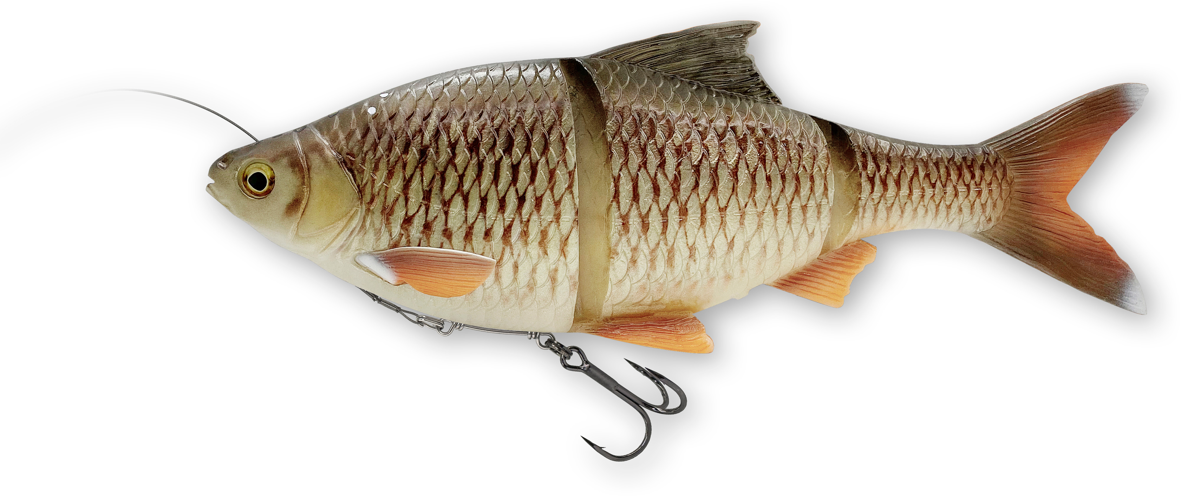 Savage Gear 4D Line Thru Roach 25 cm [216 g] S bream 1-pack