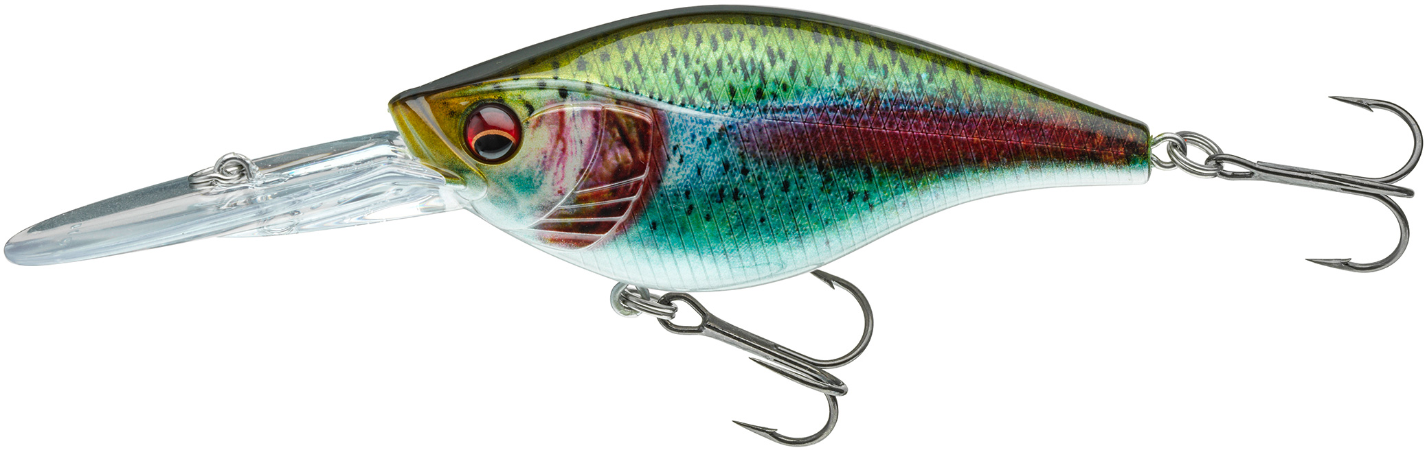 Daiwa Prorex Crankbait 8 cm [24 g] DR live rainbowtrout 1-pack