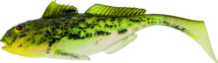 Westin Gunnar The Goby 10 cm [12.8 g] headlight goby