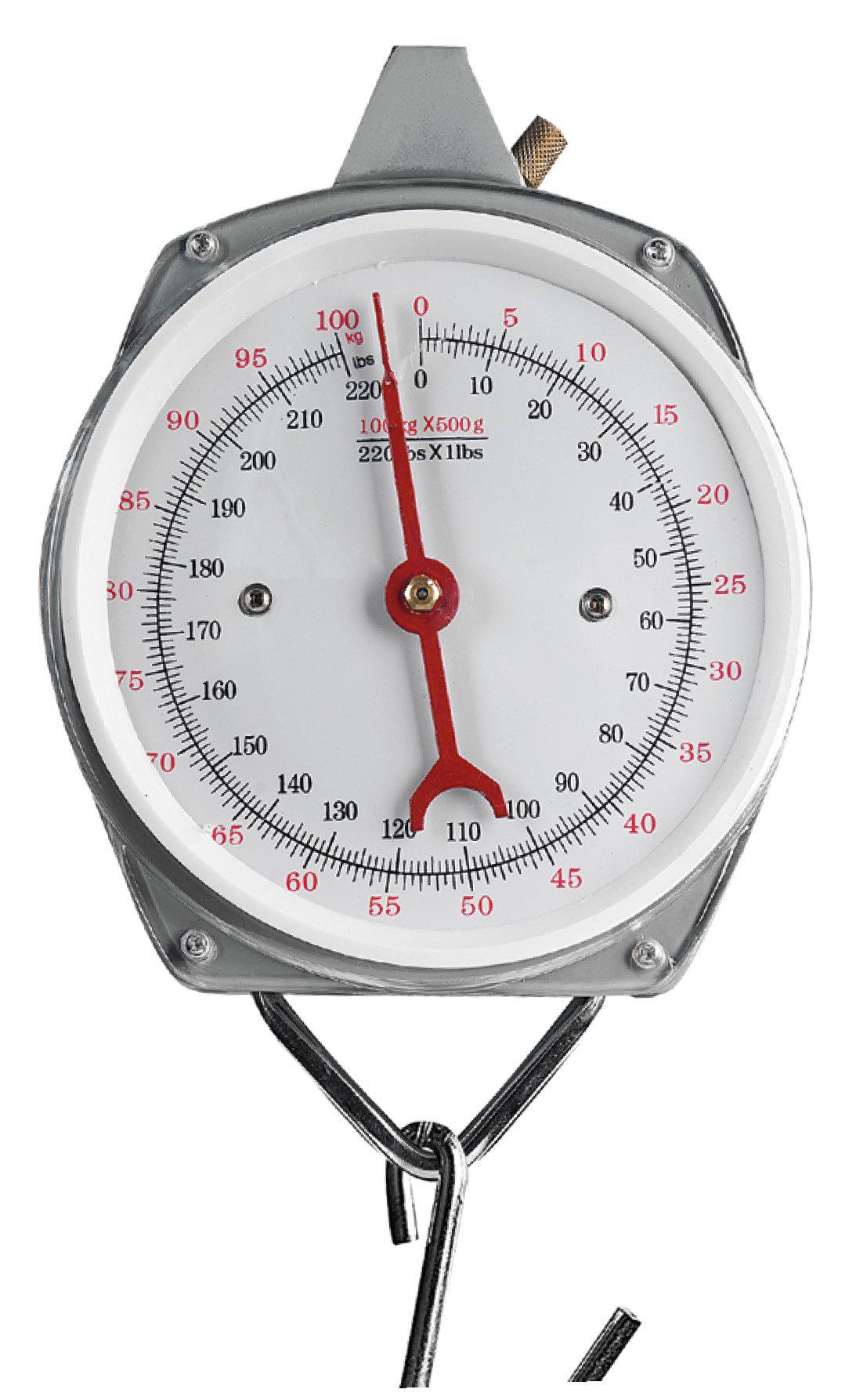 Fladen Analog fiskevåg 100 kg