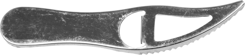 Wiggler Fiskfjällare rostfri 19 cm