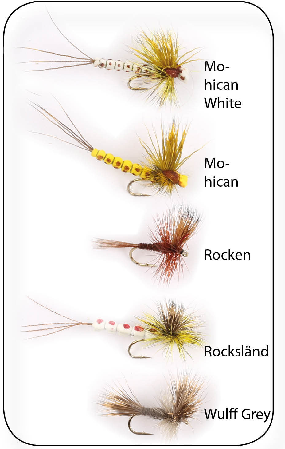 Hurricane Mayflies flugor 5-pack