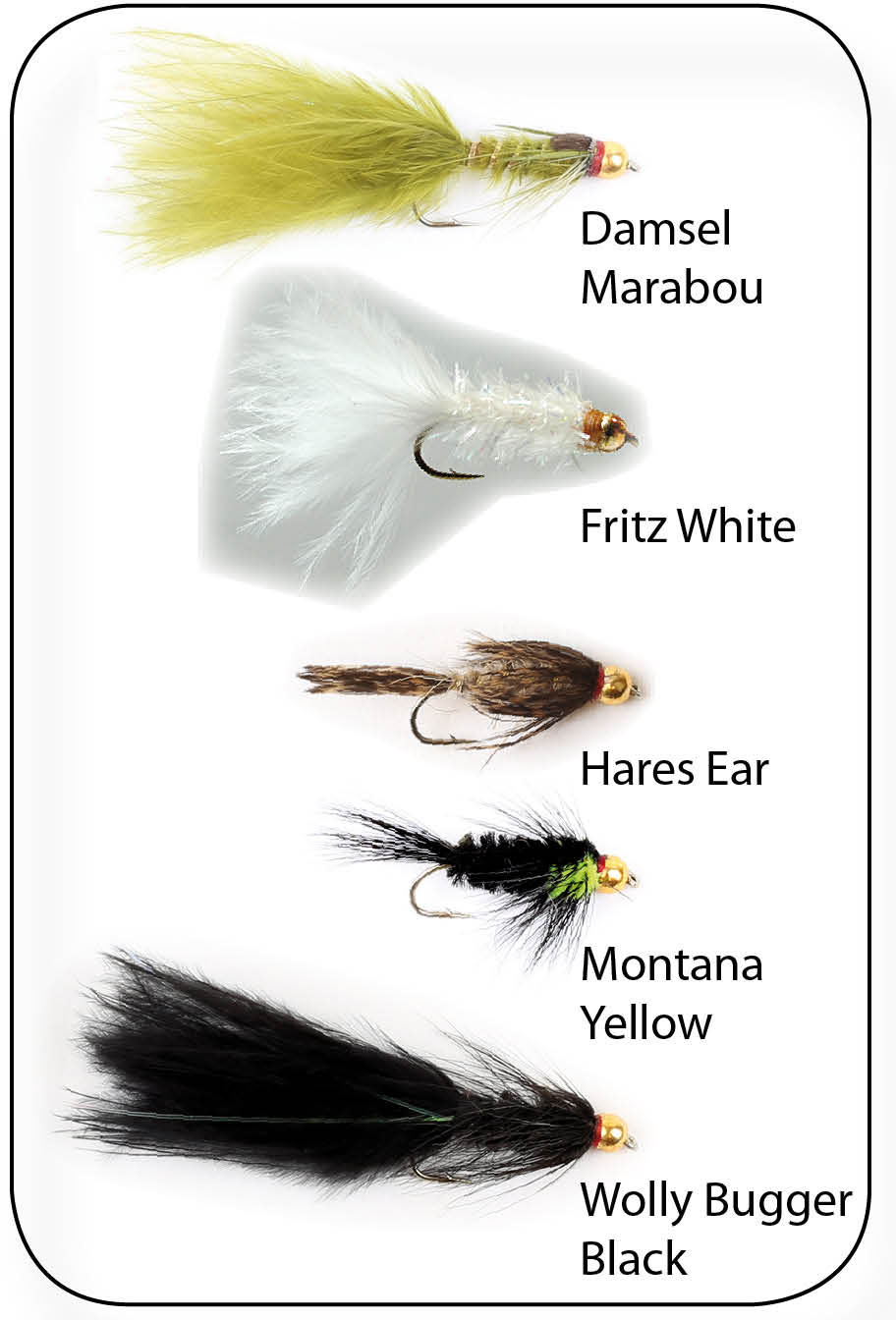 Hurricane Goldhead Stillwater flugor 5-pack