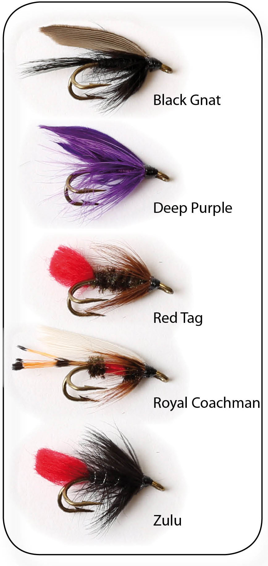 Hurricane Wet Fly Double flugor 5-pack