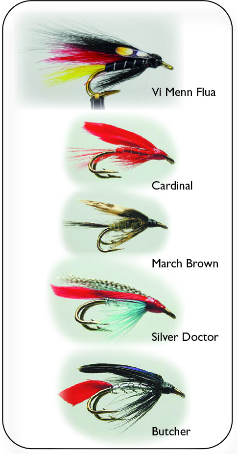 Hurricane Wet Fly Double 2 flugor 5-pack