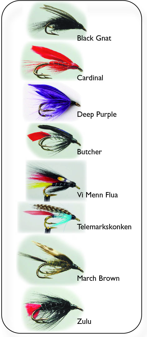 Hurricane Wet Fly Double flugor 8-pack
