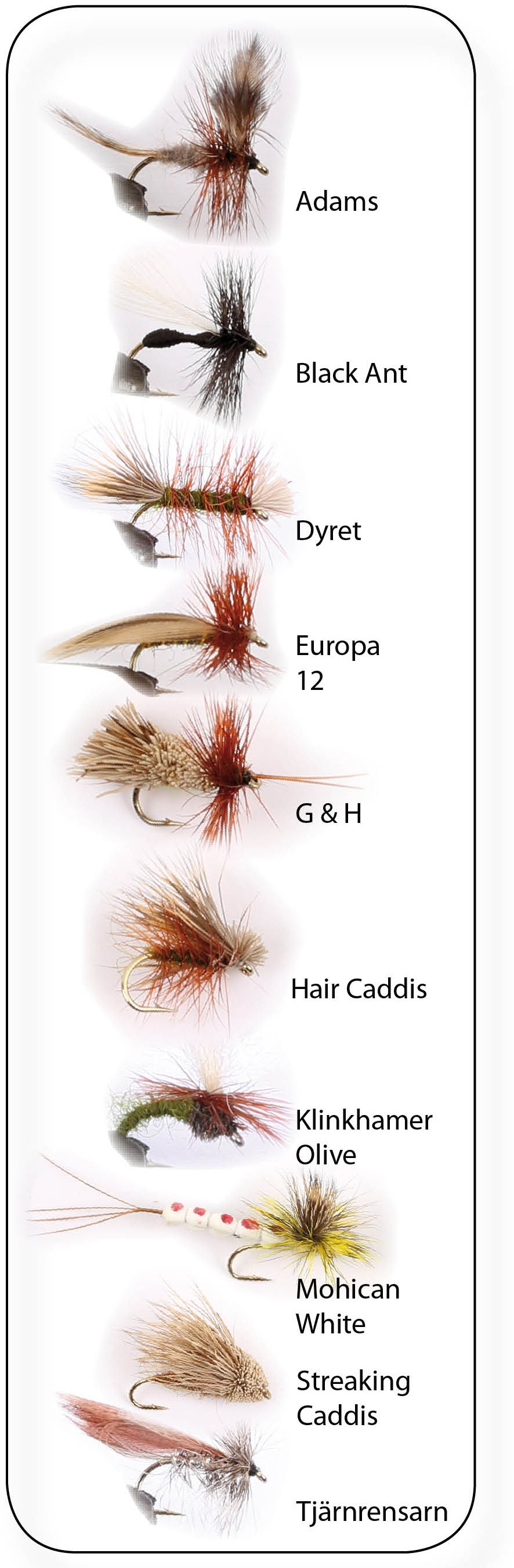Hurricane Dry Fly 2 flugor 10-pack