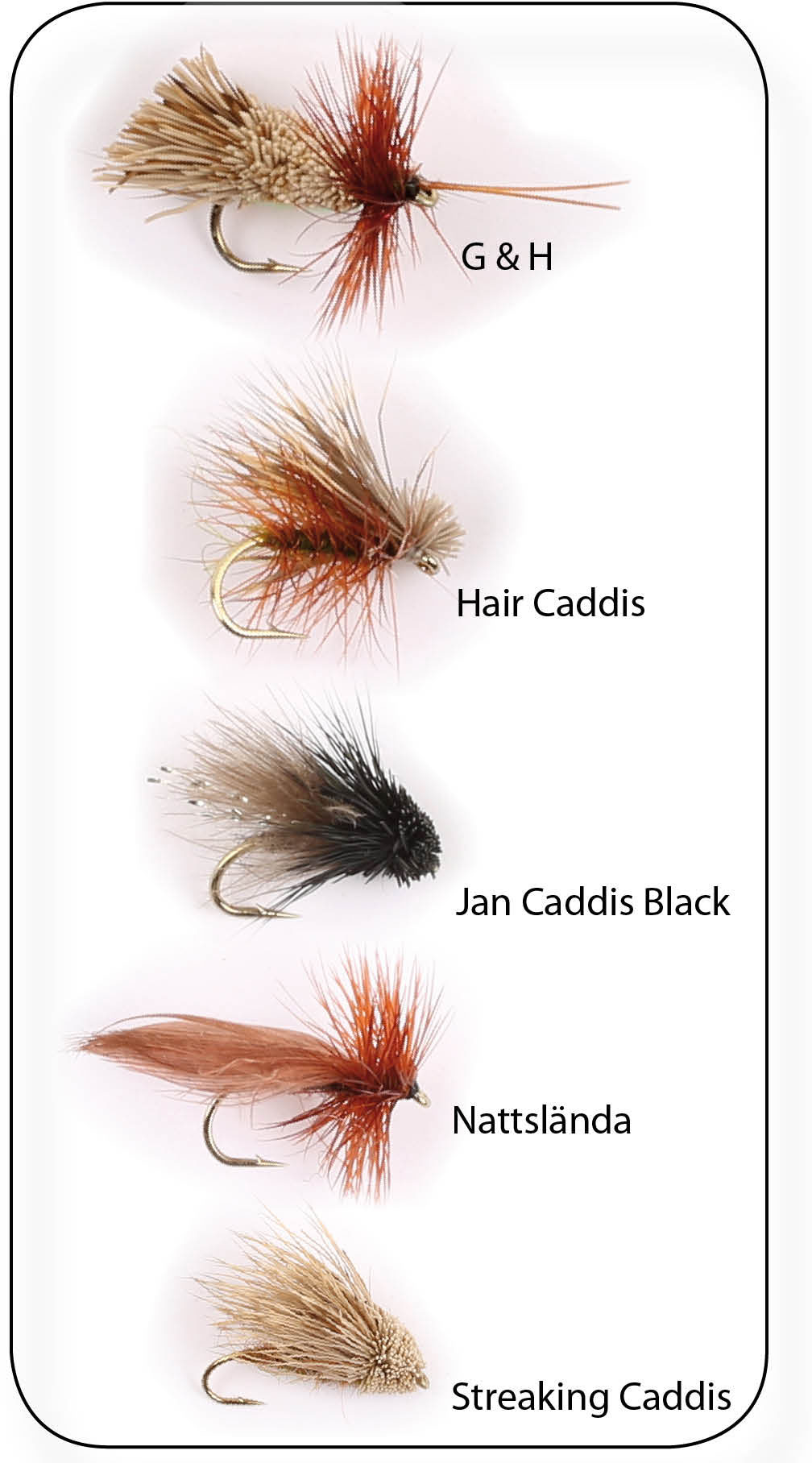 Hurricane Dry Fly Sedges flugor 5-pack