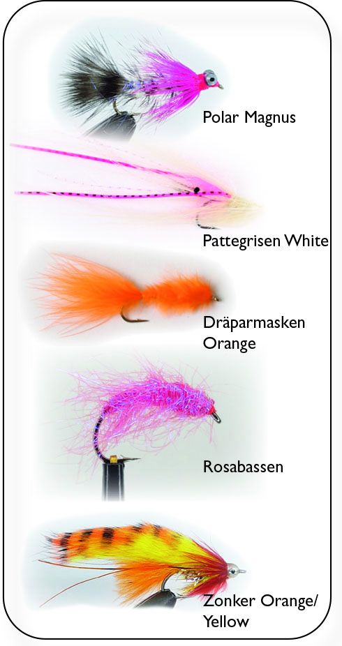 Hurricane Havsöring Vinter & Vår flugor 5-pack