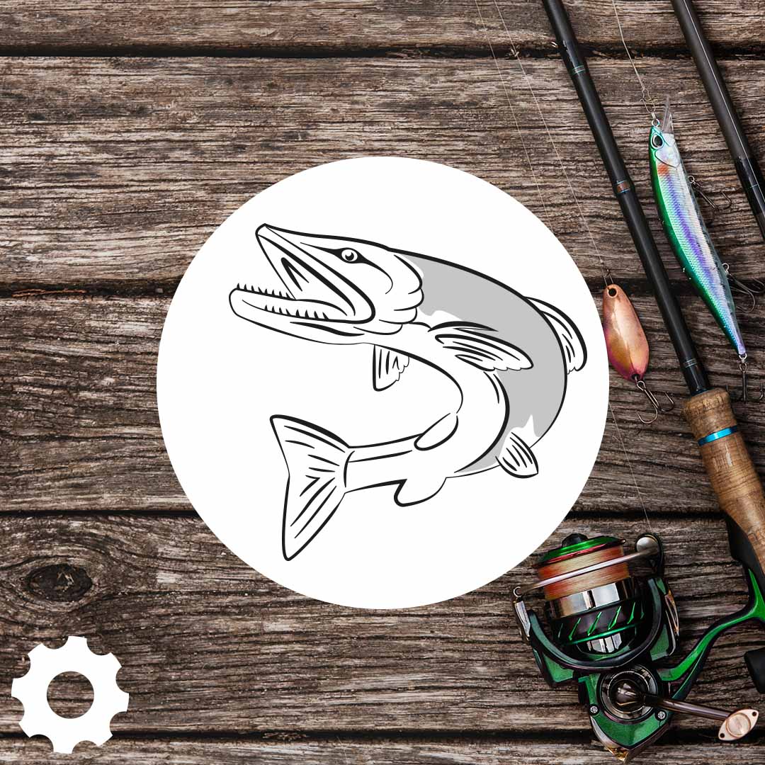 Bygg ditt egna set - Gäddfiske "spinn"