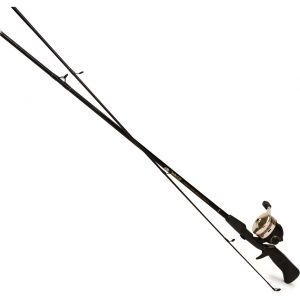 Abu Garcia Expert abumaticset 6' -30 g