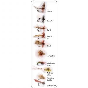 Hurricane Dry Fly 2 flies 10-pack