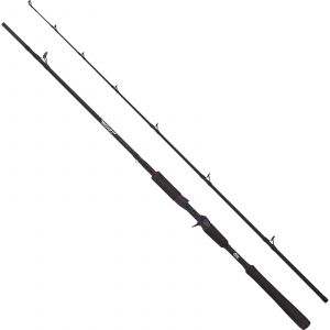 Abu Garcia Beast Pike 662HP Jerkbait baitcasting rod 6'6" 40-90 g
