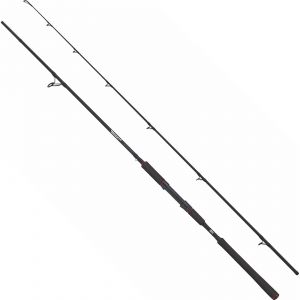 Abu Garcia Beast Pike 862XXH spinning rod 8'6" 40-140 g