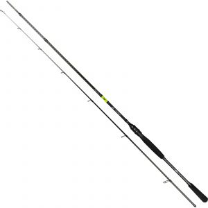 Daiwa Prorex X v2 spinning rod [Versatile] 8' 10-35 g