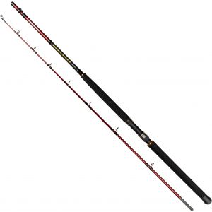 Daiwa Seahunter spinning rod