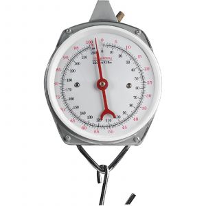 Fladen Analog fiskevåg 100 kg
