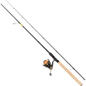 Daiwa Procaster RS 3000-C haspelset 9' 5-25 g inkl. J-Braid X4 0.19 mm
