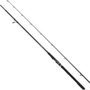 Savage Gear Alpha SG8 Big Bait spinning rod 8'6" 36-126 g