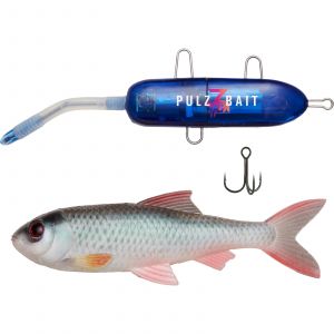 PulzBait Starter Kit Roach 15 cm [58 g] natural roach 1-pack