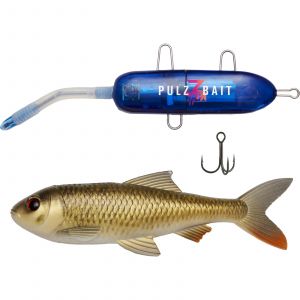 PulzBait Starter Kit Roach 15 cm [58 g] 1-pack