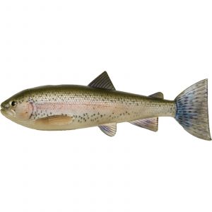 PulzBait Skinz Trout 15 cm [28 g] rainbow trout 2-pack