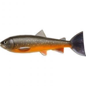 PulzBait Skinz Trout 15 cm [28 g] arctic char 2-pack