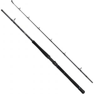 Savage Gear Fury SG2 Boat spinnspö
