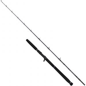 Savage Gear Defiance SG2 Jigging spinnspö 1+1-delat 5'9" -250 g
