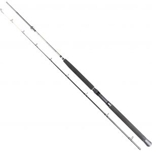 Daiwa Seahunter Trolling spinnspö
