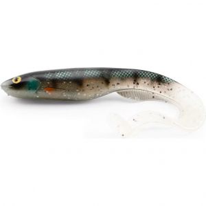 Gator Catfish 40 cm [230 g] ghost perch 1-pack