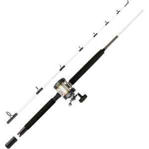 Mitchell Performance SW 602 havsfiskeset 5'11" 10-30 g