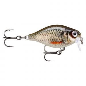 Rapala X-Light Crank Shallow Runner 3.5 cm [4 g] F live roach 1-pack
