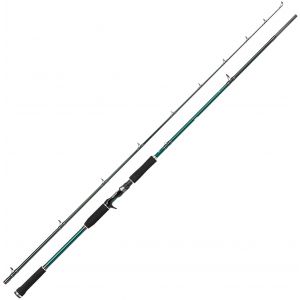Abu Garcia Beast X Pike 662 HP Jerk spinnspö 6'6" 45-100 g