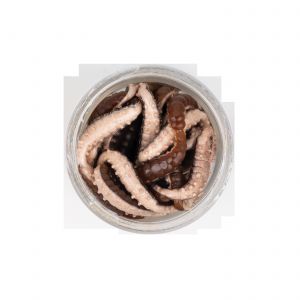 Berkley PowerBait Power Honey Worm 2.5 cm [1 g] (Original) 55-pack