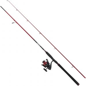 PENN Fierce IV sea fishing set