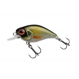 Berkley DEX Thumper 4 cm [3.7 g] F ayu 1-pack