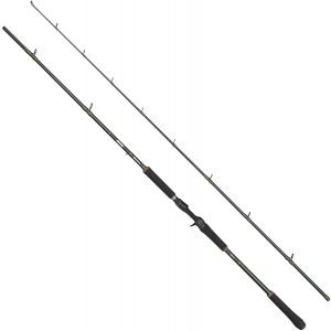 Abu Garcia Beast X2 802 spinnspö 8' 40-110 g