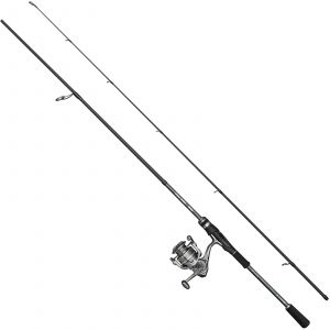 Mitchell MX Pro spinning combo