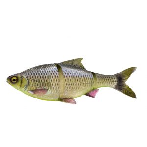 Savage Gear 3D Line Thru Roach 25 cm [206 g] SS hugo 1-pack