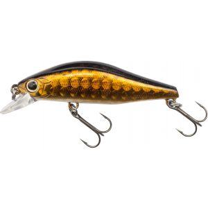 Daiwa Tournament Wise Minnow 50FS [5.2 g] gold lens 1-pack