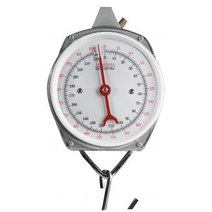 Fladen Analog fiskevåg 100 kg