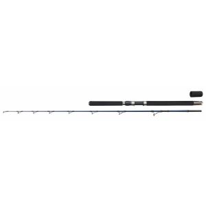 DAM Imax Iconic Salt havsfiskespö 6'1" 8-12 lb