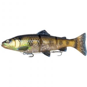 Clear Bream
