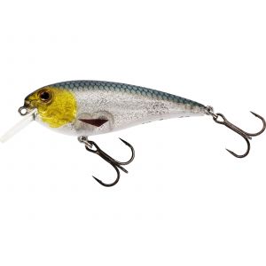 Westin RawBite Crankbait 7 cm [12 g] F 3d headlight 1-pack
