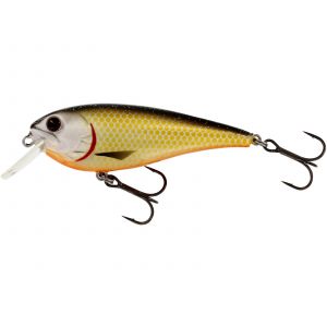 Westin RawBite Crankbait 7 cm [12 g] F official roach 1-pack
