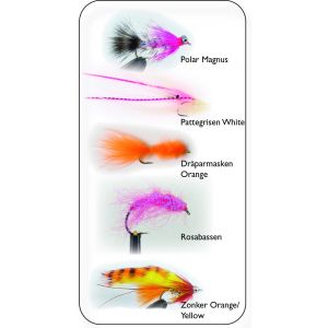 Hurricane Havsöring Vinter & Vår flugor 5-pack