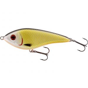 Westin Swim Glidebait 8 cm [19 g] S official roach 1-pack
