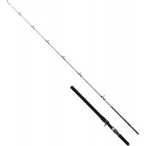 Shimano Speedmaster R Jigging spinnspö